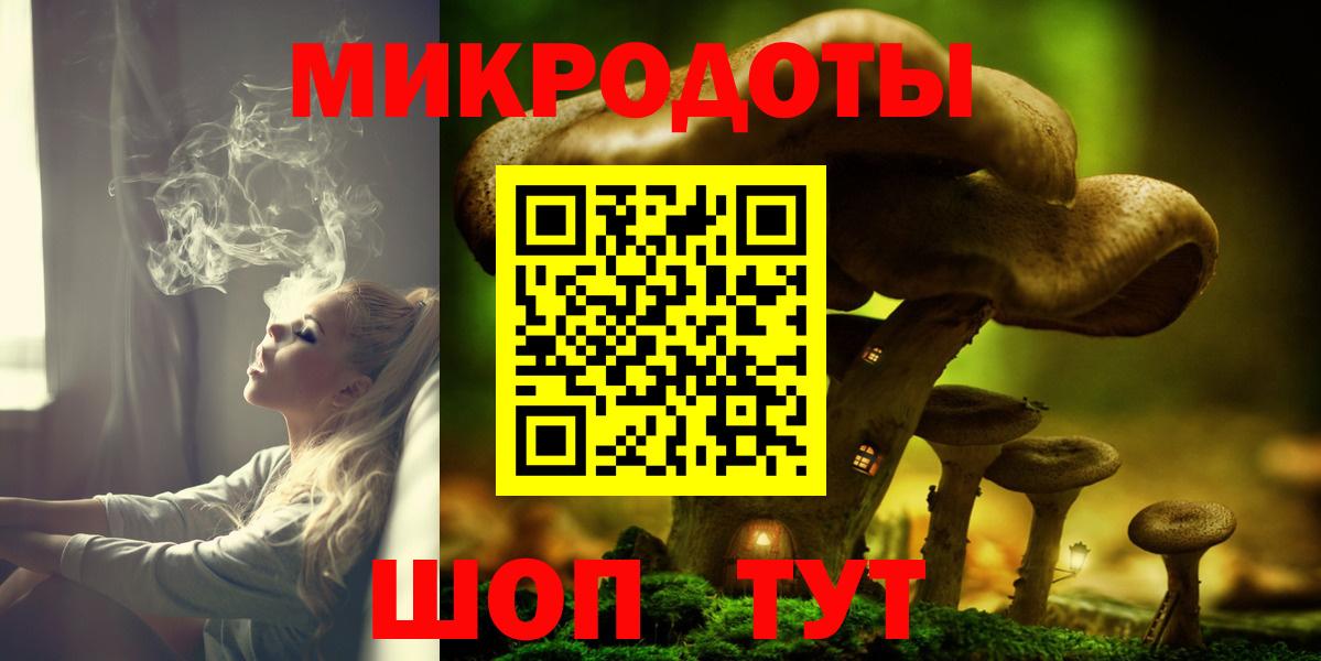 Галлюциногенные грибы Psilocybine cubensis Дзержинский